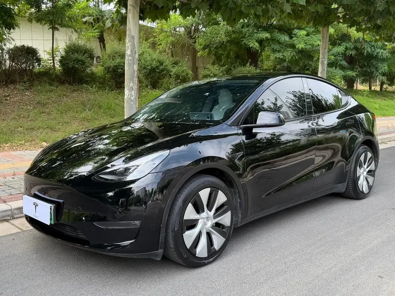 Tesla Model Y Standard Range Edition, 2021 — фото 1