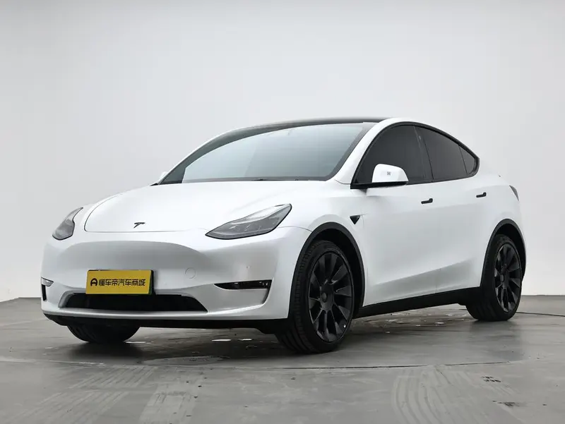 Tesla Model Y Long Range AWD Edition 3D3/3D7, 2021 — фото 1