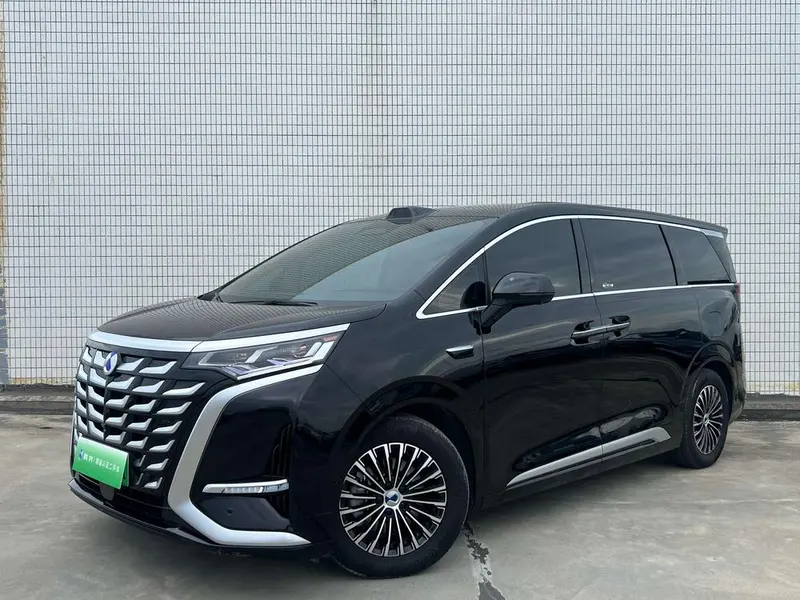 Denza D9 DM, 2025