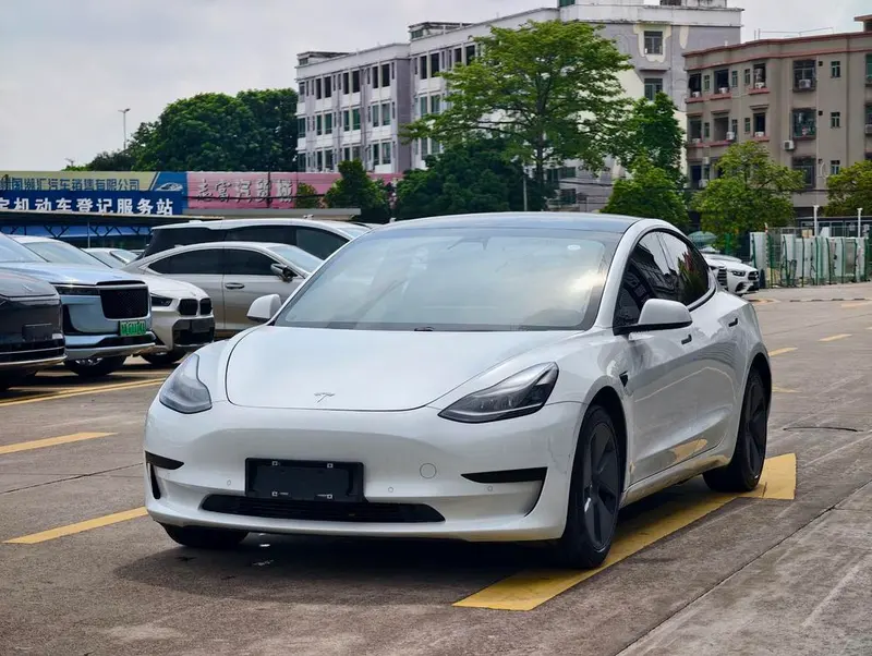 Tesla Model 3 Standard Range RWD Upgraded Edition, 2021 — фото 1