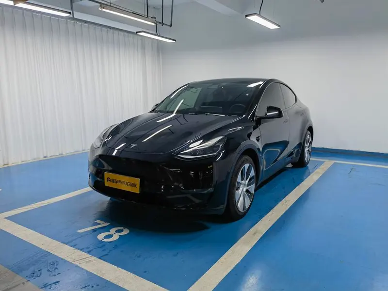 Tesla Model Y Standard Range Edition, 2021 — фото 1