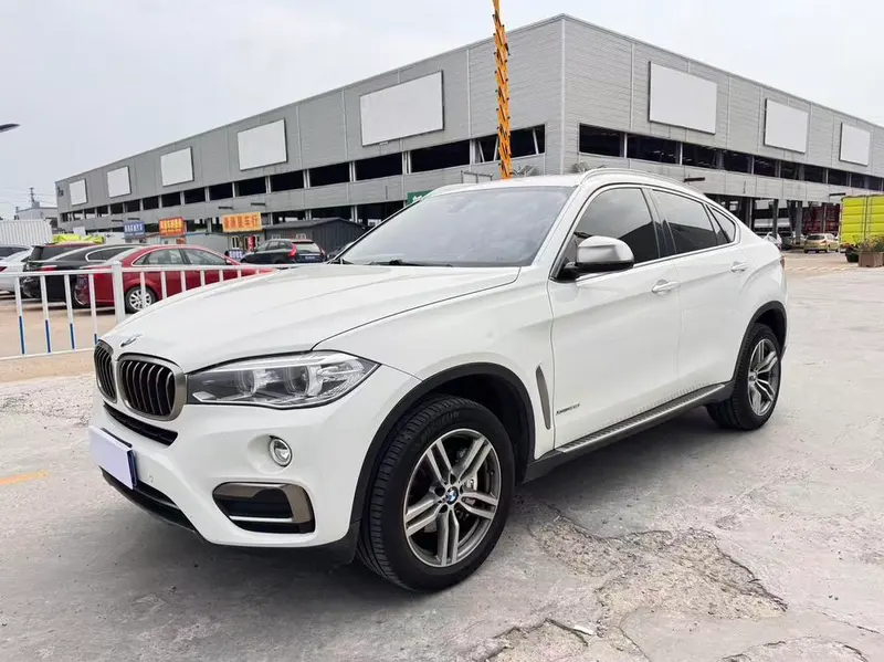BMW X6 xDrive35i Luxury Version, 2015 — фото 1