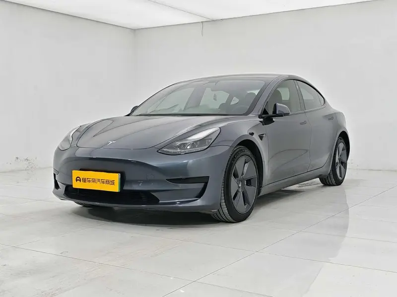 Tesla Model 3 Standard Range RWD Upgraded Edition 3D6, 2021 — фото 1