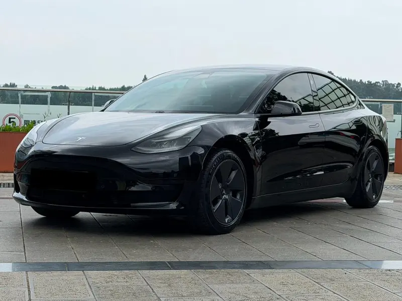 Tesla Model 3 Standard Range RWD Upgraded Edition, 2020 — фото 1