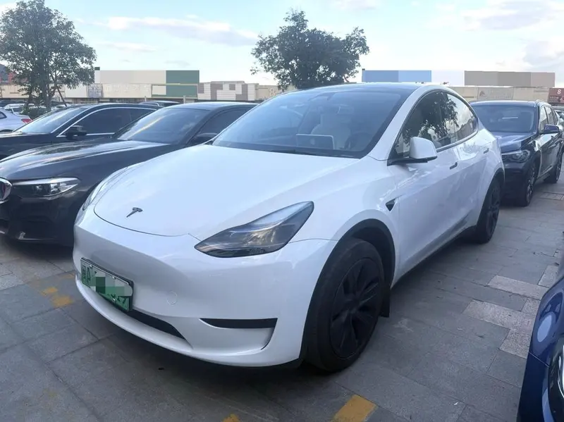 Tesla Model Y Edition, 2024 — фото 1