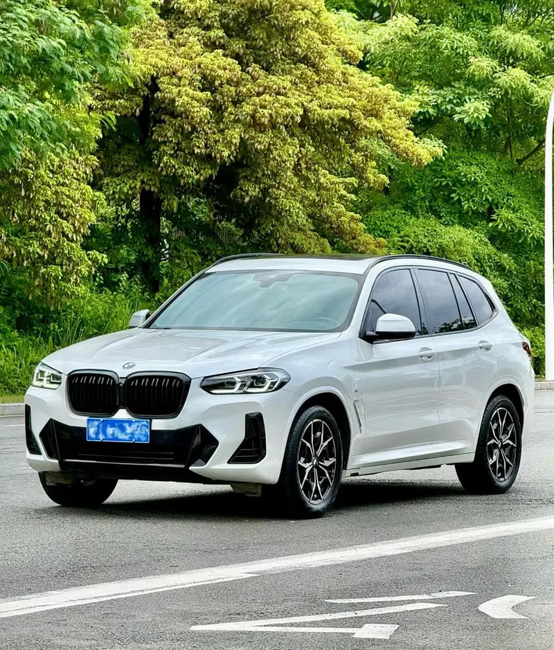 BMW X3 xDrive25i M Sport, 2022 — фото 1