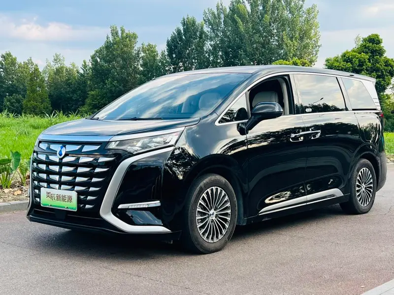 Denza D9 DM, 2024