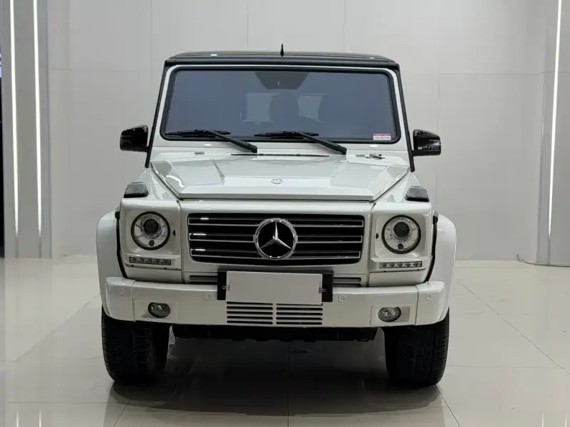 Mercedes-Benz G-Class, 2016 — фото 1