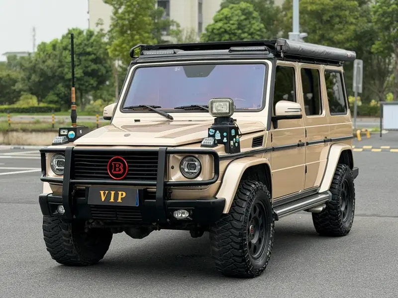Mercedes-Benz G-Class G 500, 2010 — фото 1