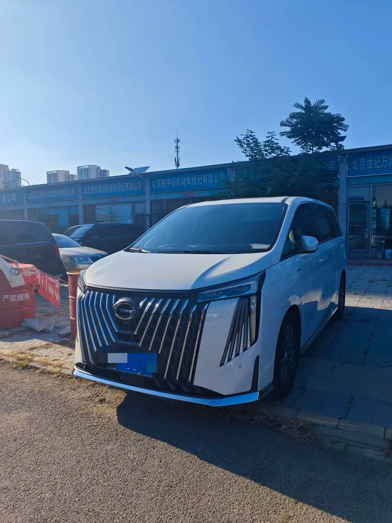 GAC Trumpchi Trumpchi M8, 2024