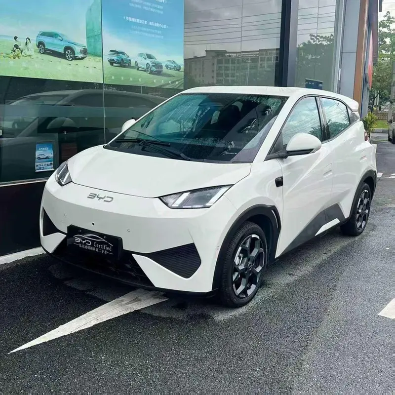 BYD Seagull, 2025