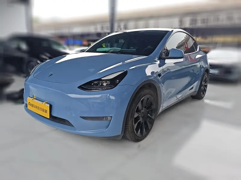 Tesla Model Y Long Range AWD Edition 3D3/3D7, 2021 — фото 1
