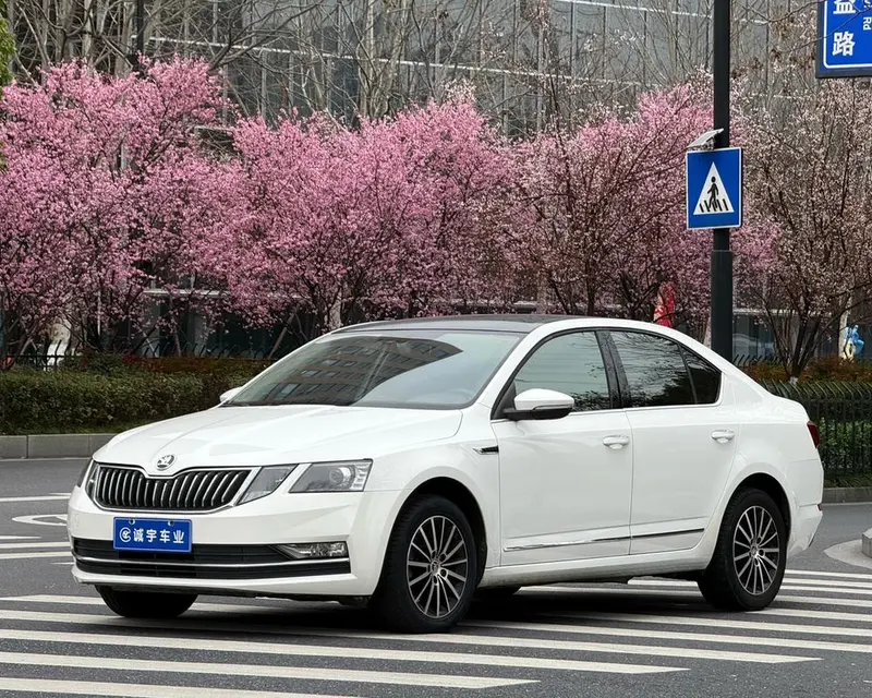Skoda Octavia TSI230 DSG Comfort Edition, 2018 — фото 1
