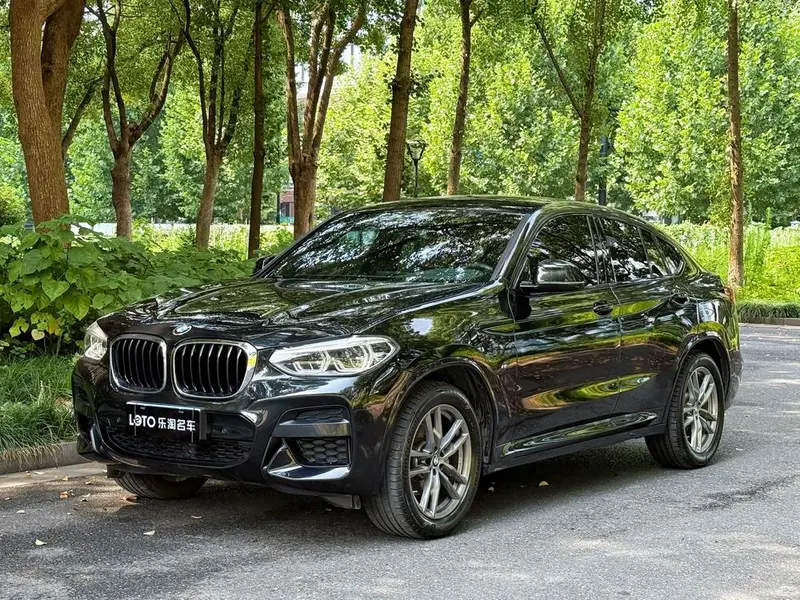 BMW X4 xDrive25i M Sport, 2020 — фото 1