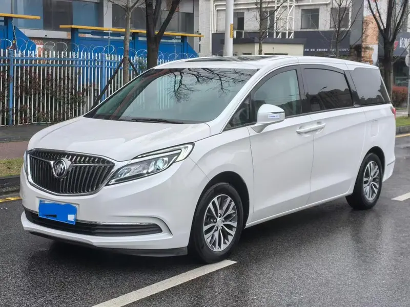 Buick GL8 ES 28T Comfort Version CN5, 2017 — фото 1