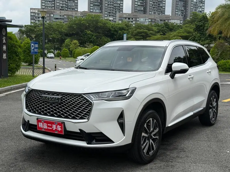 Haval H6 1.5GDIT Auto Pro Edition, 2021 — фото 1