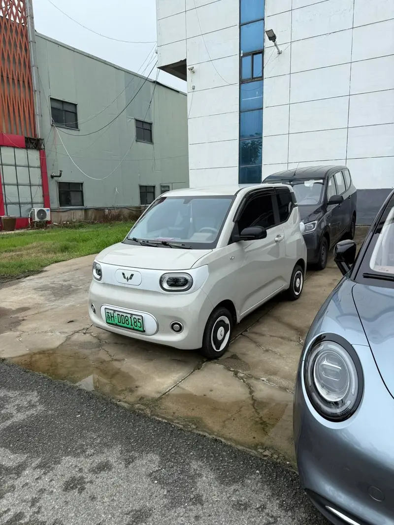 Wuling Hongguang MINIEV, 2024