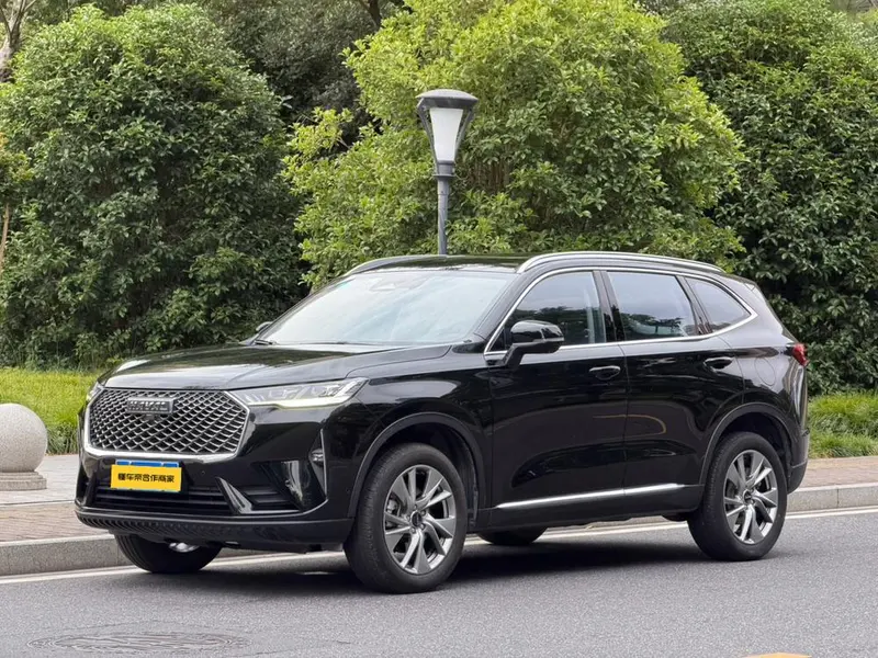 Haval H6 1.5GDIT Auto Supreme+ Edition, 2021 — фото 1