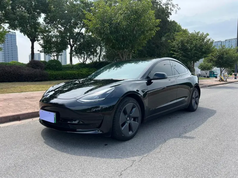 Tesla Model 3 Standard Range RWD Upgraded Edition 3D6, 2021 — фото 1