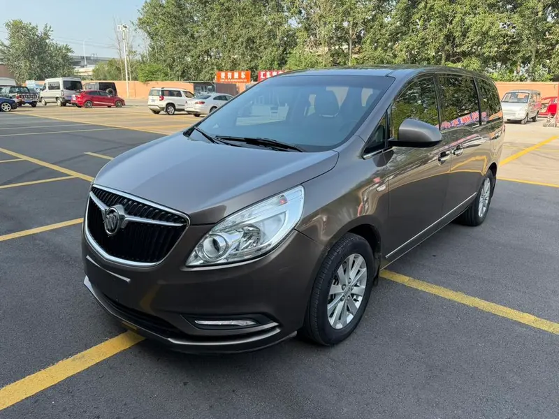 Buick GL8 25S Luxury Version CN5, 2017 — фото 1