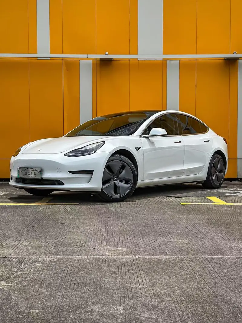 Tesla Model 3 Standard Range RWD Upgraded Edition, 2020 — фото 1