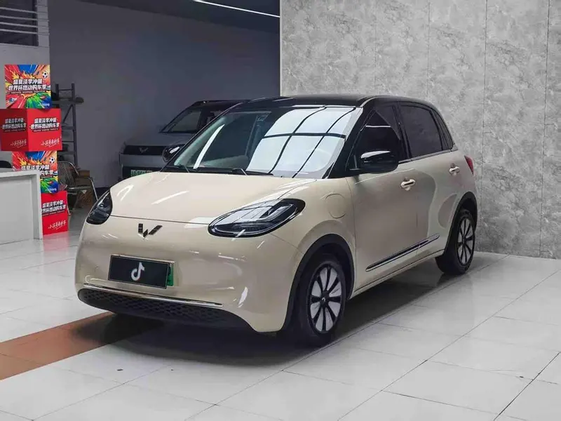 Wuling Bingo, 2024