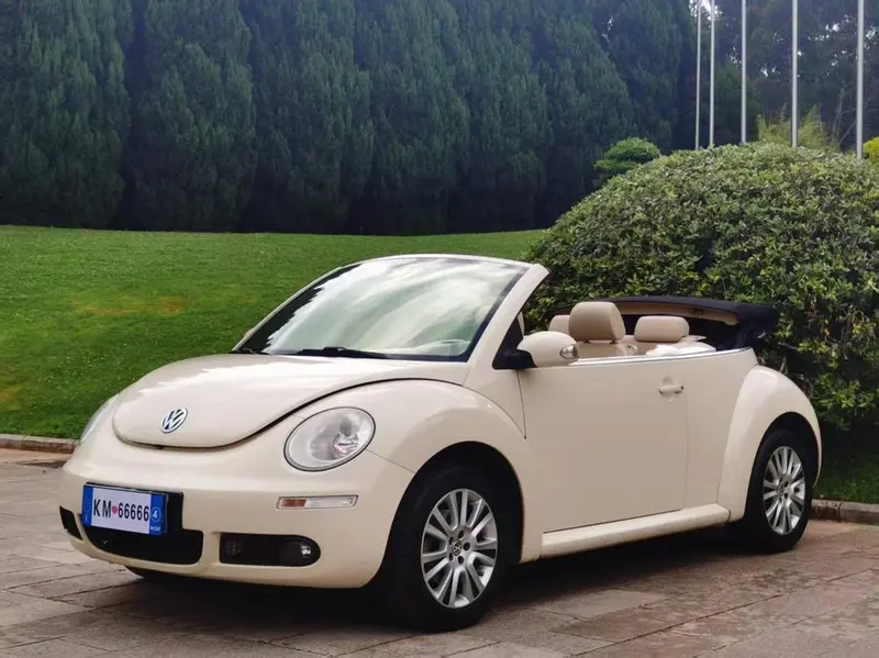 Volkswagen Beetle, 2010
