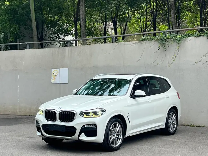 BMW X3 xDrive30i Leading Version M Sport CN6, 2018 — фото 1