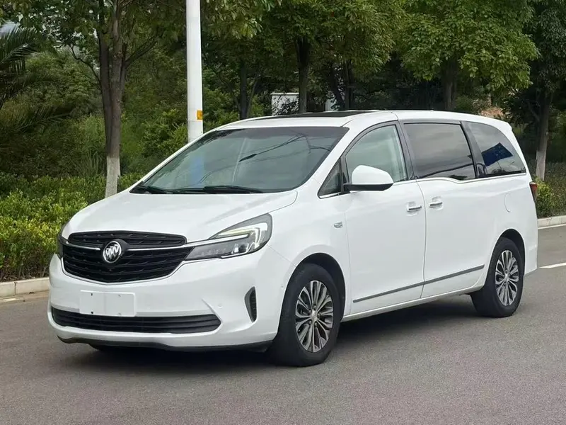Buick GL8 652T Premium Version, 2020 — фото 1