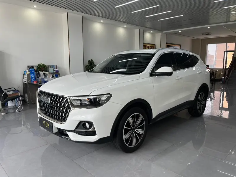 Haval H6 Trendy Edition 1.5T Auto Champion Edition, 2023 — фото 1