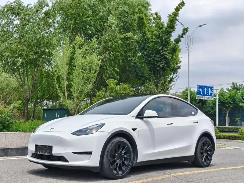 Tesla Model Y Standard Range Edition, 2021 — фото 1