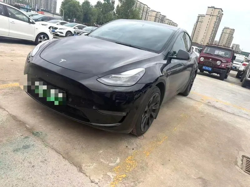 Tesla Model Y Standard Range Edition, 2021 — фото 1
