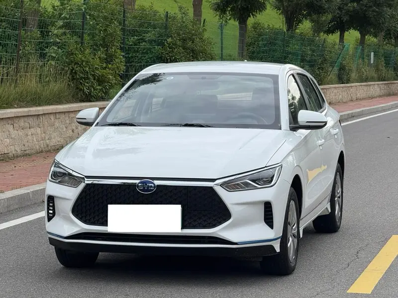 BYD e2, 2021