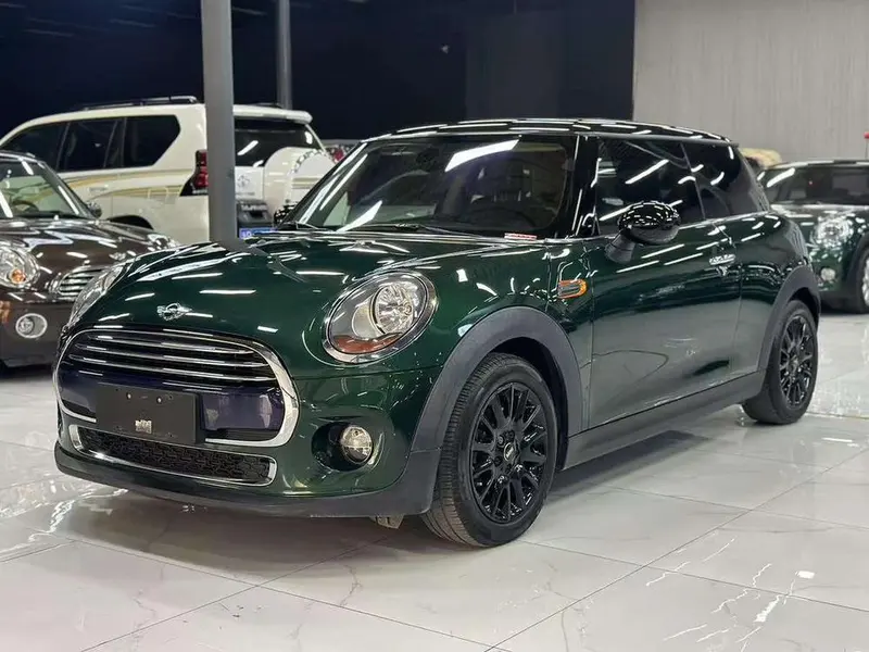 MINI MINI, 2016