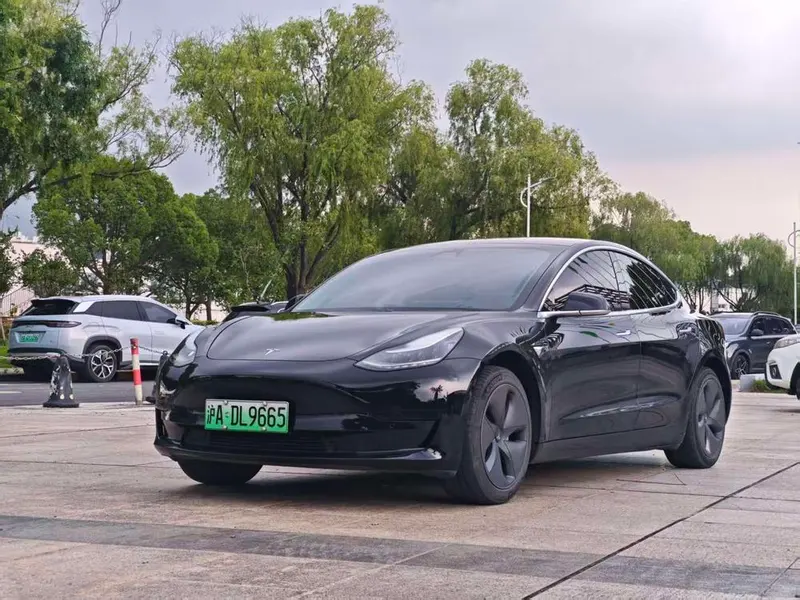 Tesla Model 3 Standard Range RWD Upgraded Edition, 2020 — фото 1