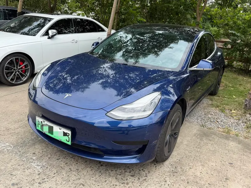 Tesla Model 3 Standard Range RWD Upgraded Edition, 2020 — фото 1