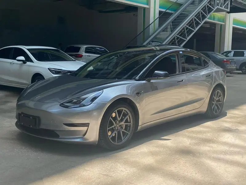 Tesla Model 3 Standard Range RWD Upgraded Edition 3D6, 2021 — фото 1
