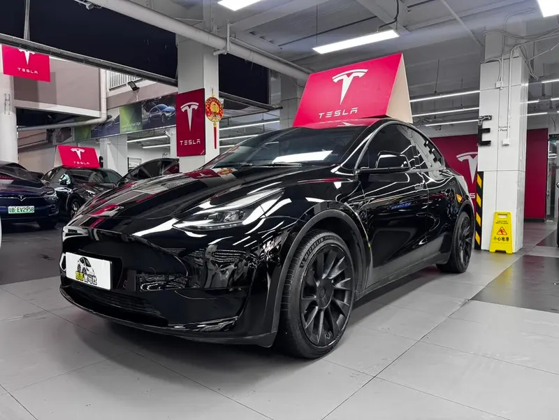 Tesla Model Y Edition, 2022 — фото 1