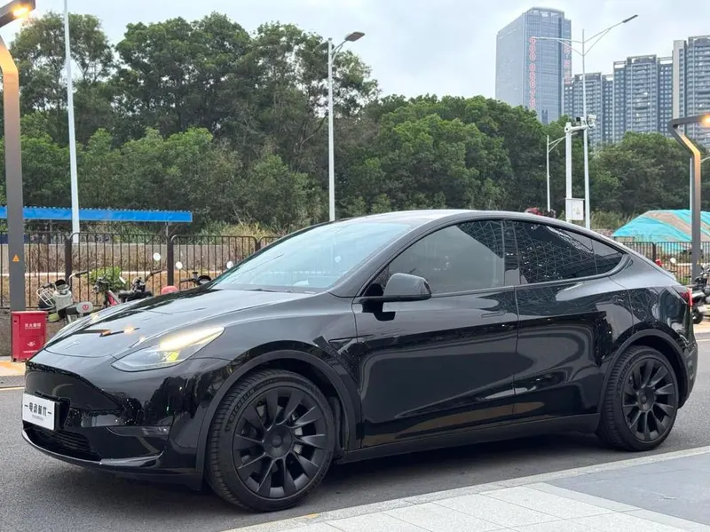 Tesla Model Y Standard Range Edition, 2021 — фото 1