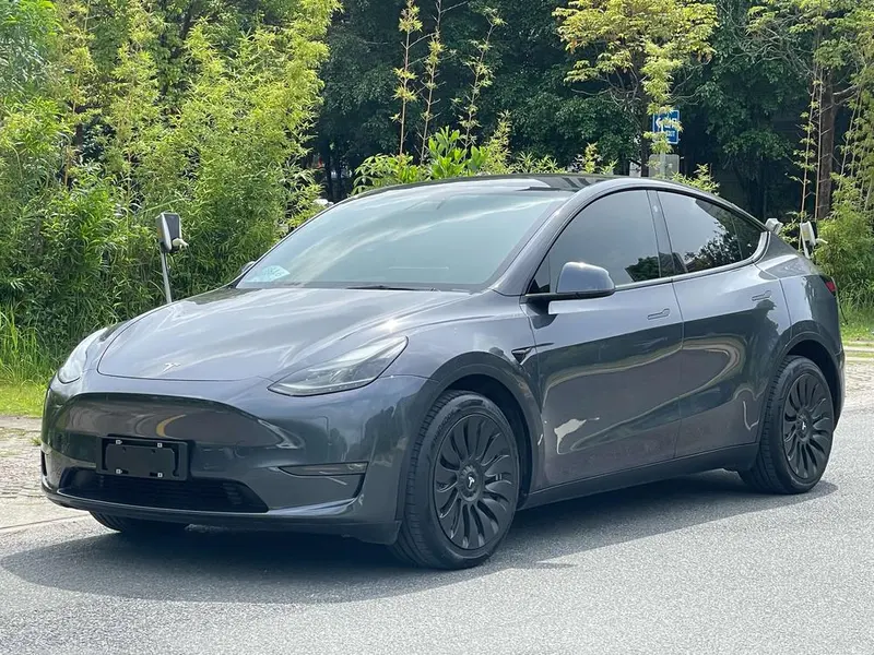 Tesla Model Y Long Range AWD Edition, 2021 — фото 1