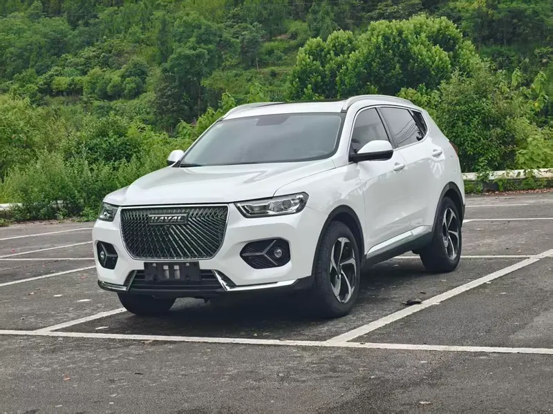 Haval H6 Trendy Edition 1.5T Auto Champion Edition, 2021 — фото 1