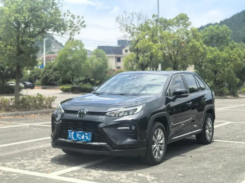Toyota Wildlander, 2020