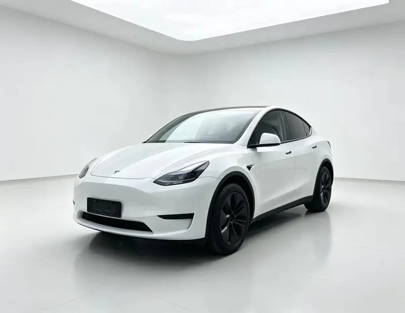 Tesla Model Y Edition, 2024 — фото 1