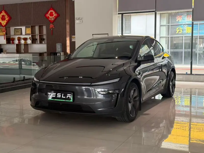 Tesla Model Y Edition, 2025 — фото 1