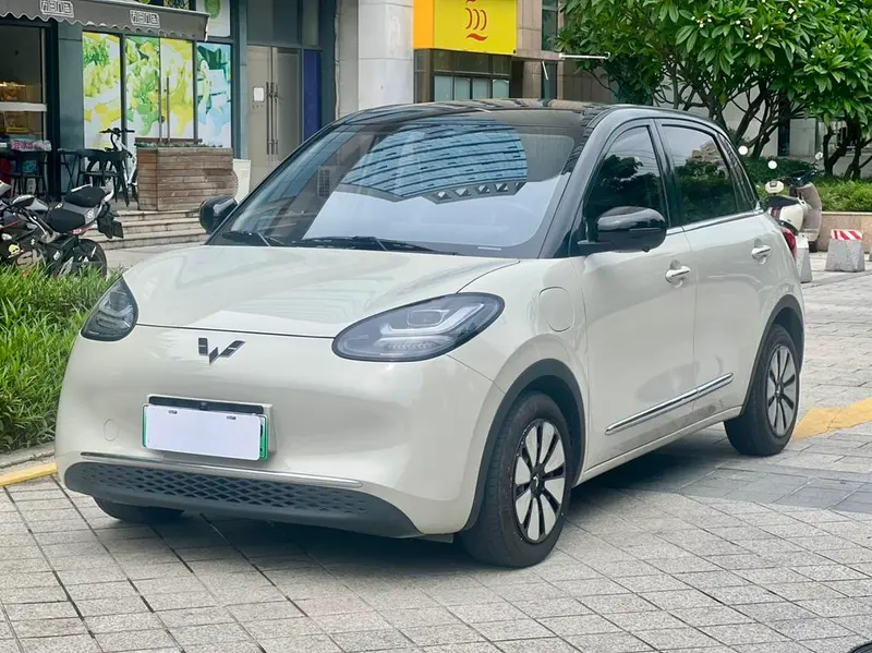 Wuling Bingo, 2024