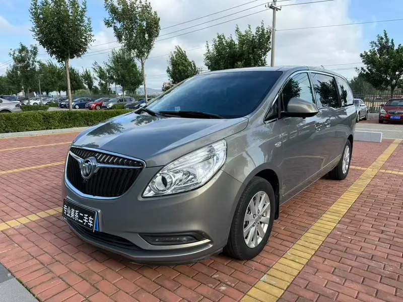 Buick GL8 28T Luxury Version CN6, 2018 — фото 1