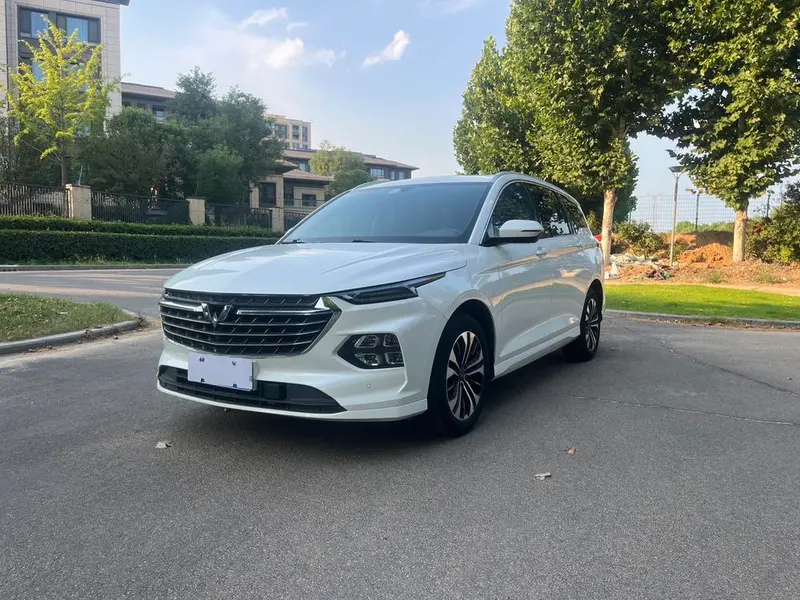 Wuling Capgemini Victory, 2020