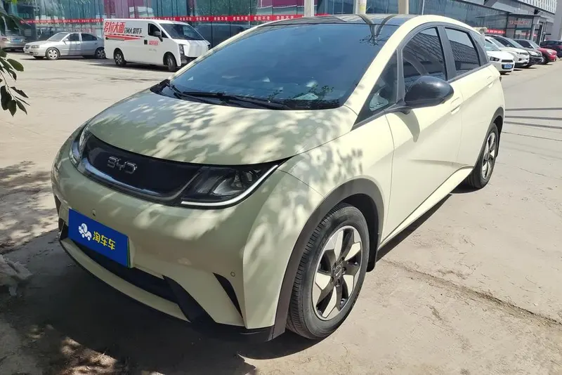 BYD Dolphin Glory Edition 420km Fashion Edition, 2024 — фото 1