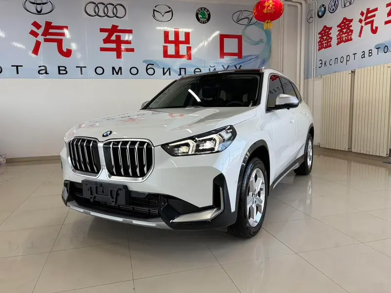 BMW X1 sDrive20Li X, 2023 — фото 1