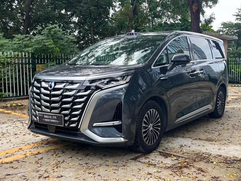 Denza D9 DM, 2025